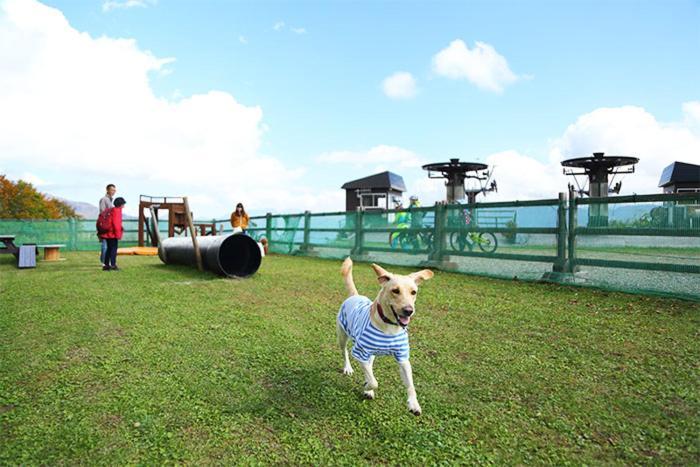 Chalet 別邸しろうま Hakuba Eksteriør billede